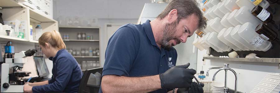 Water quality analysts working, female looking into a microscope at a sample, man holding an instrument over a sink