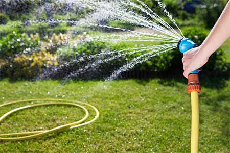 Someone holding a hose with water spraing the lawn