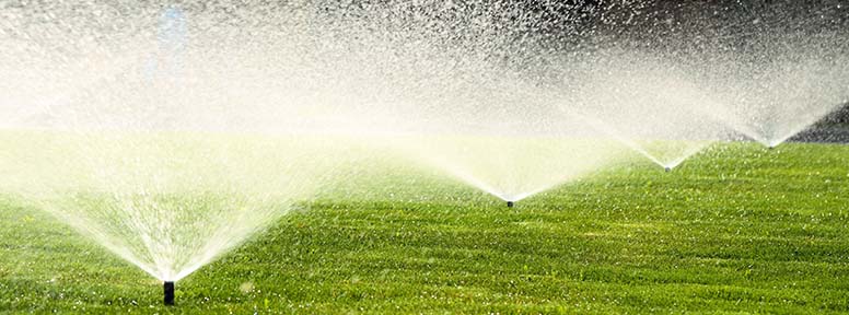 Sprinklers running over a green lawn